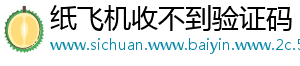 纸飞机收不到验证码
